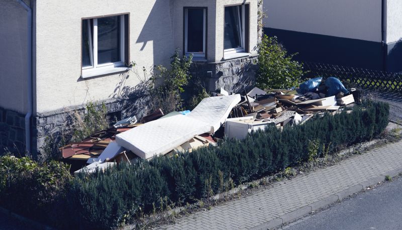 Clutter Removal Service in Auburn, CA